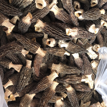 羊肚菌刚出炉干货