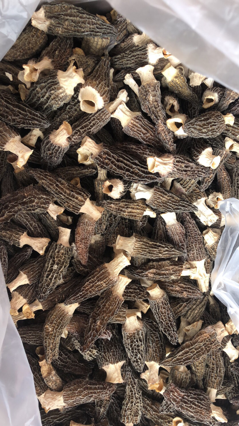 羊肚菌刚出炉干货