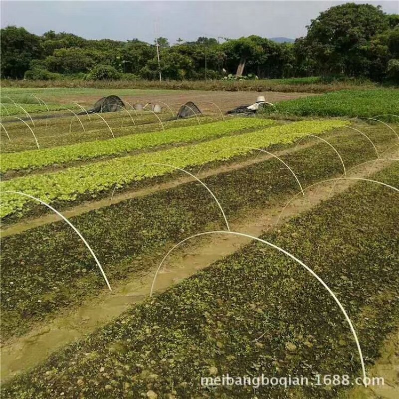 农用百货玻纤杆小拱棚地膜支架