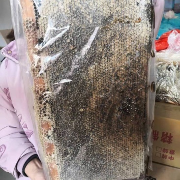 老巢蜜3年以上纯蜂蜜成熟蜜切割巢蜜蜂场直供整脾发货