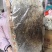老巢蜜3年以上纯蜂蜜成熟蜜切割巢蜜蜂场直供整脾发货