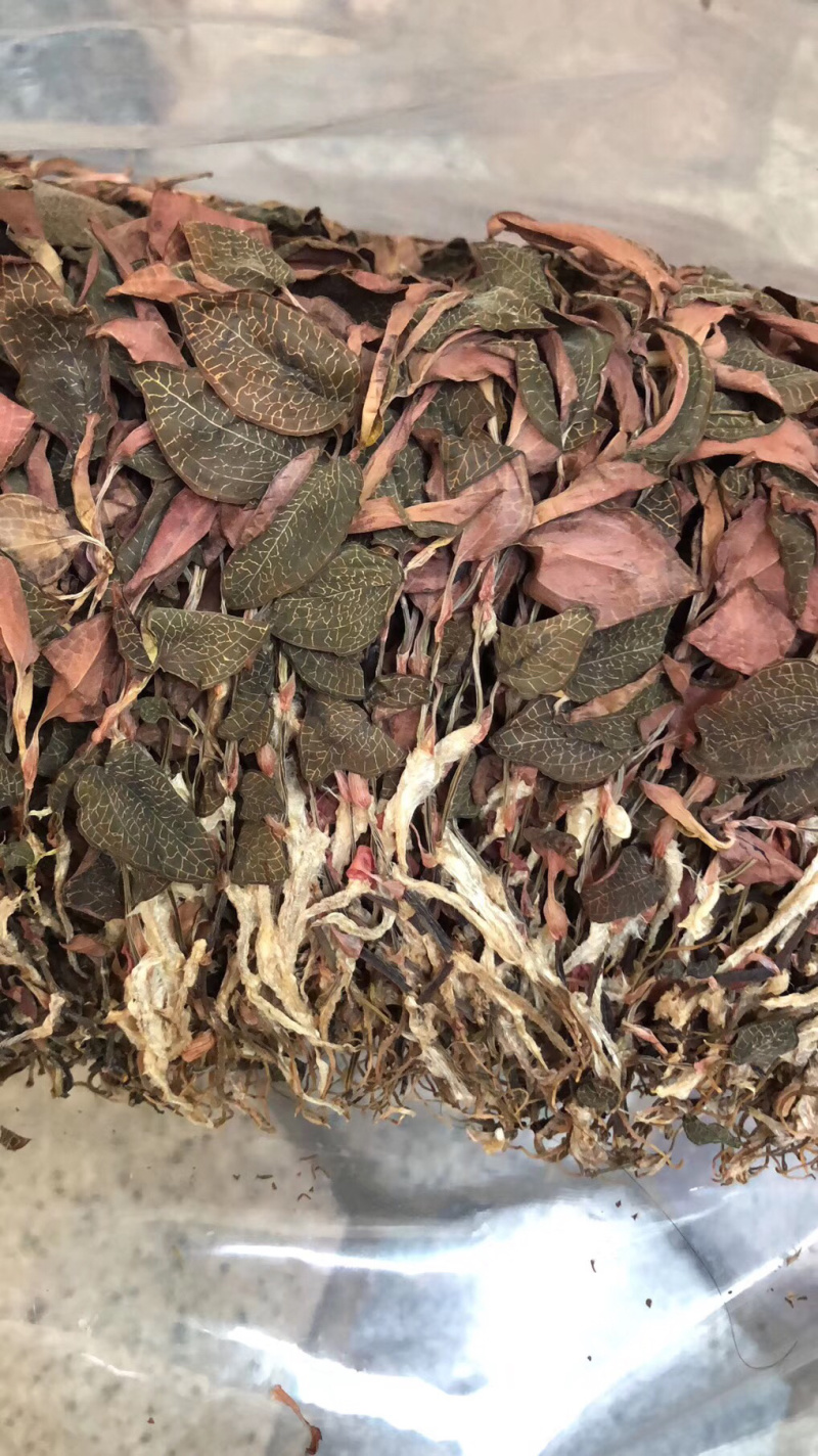 福建台湾野生红霞金线莲干货，产地直供，可以看现货量大优