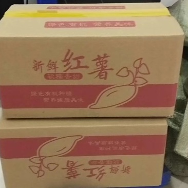 沙地西瓜红和烟薯
