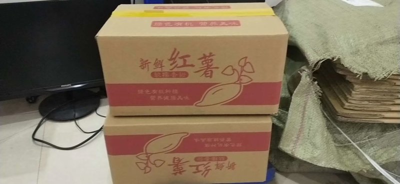 沙地西瓜红和烟薯