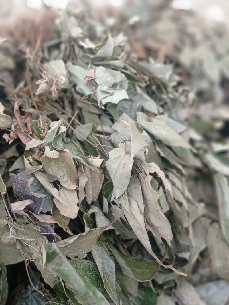 淫洋霍(全草类，茎叶类，根类，大叶子，细叶子类)