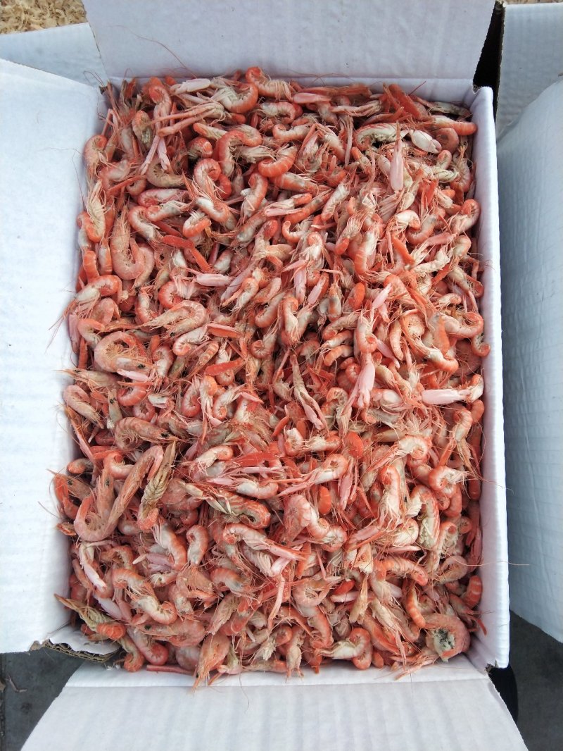 爪虾，狗虾，鹰爪虾，红虾