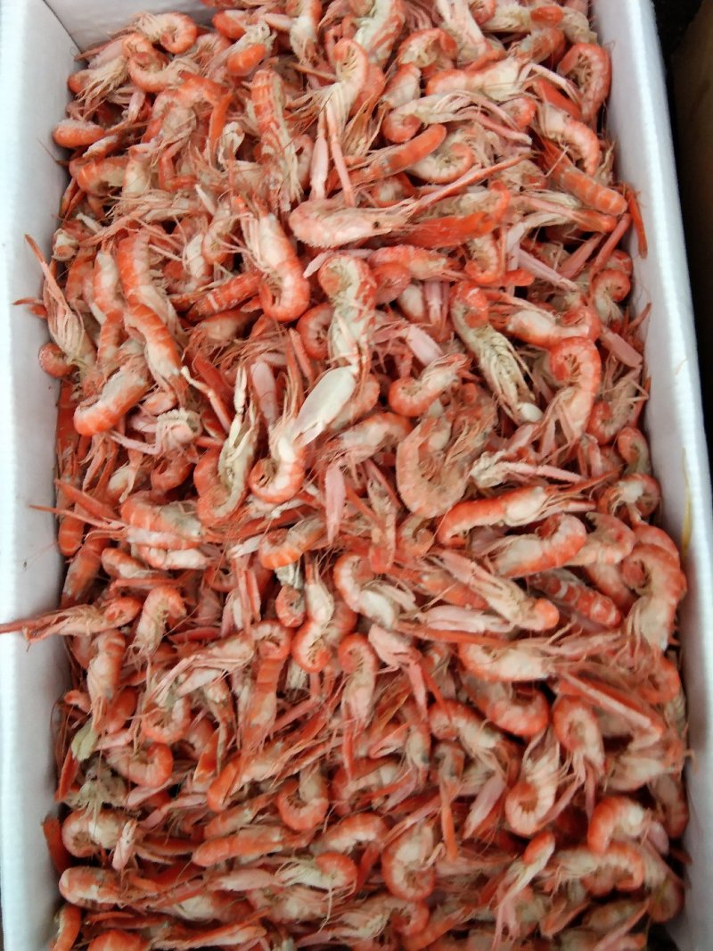 爪虾，狗虾，鹰爪虾，红虾