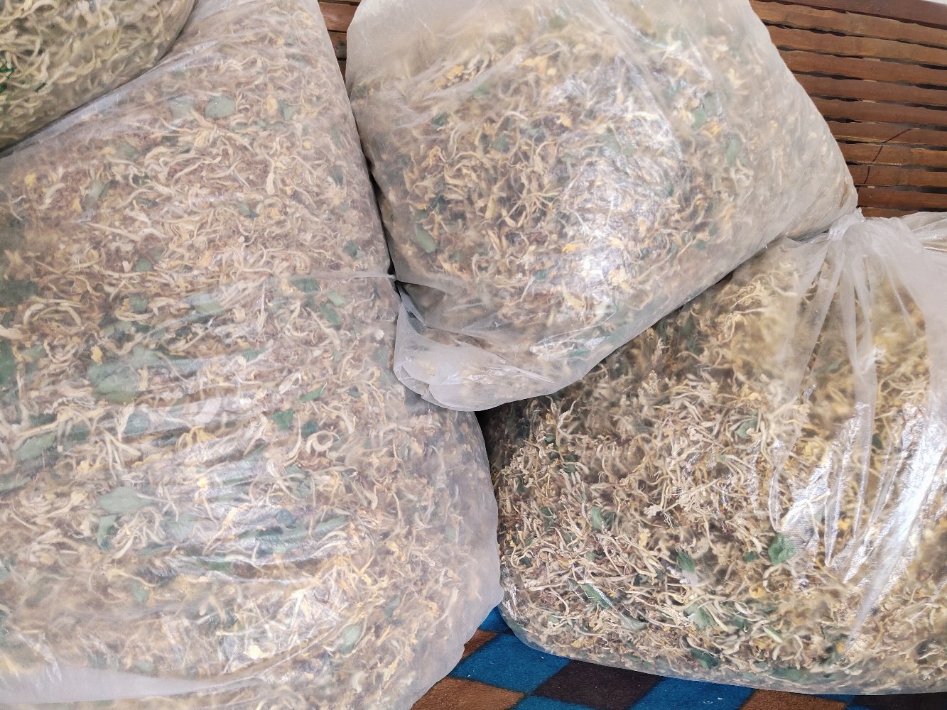 百合与生地黄药材图