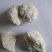 批发代购中药材钟乳石批发零售量大从优