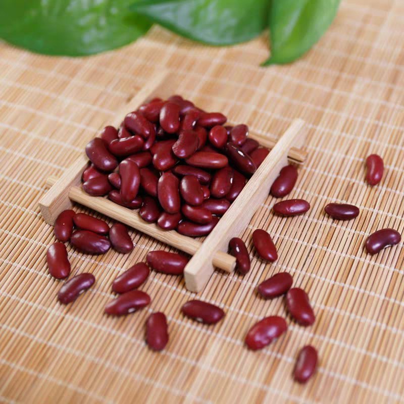 芸豆红芸豆大红豆红腰豆红花豆云豆农家杂粮五谷杂粮