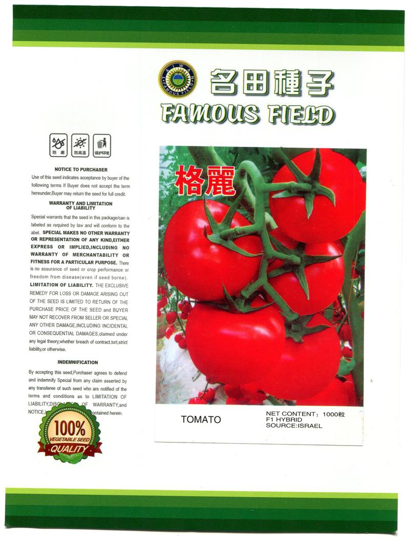番茄种子，基地主栽品种，西红柿种子