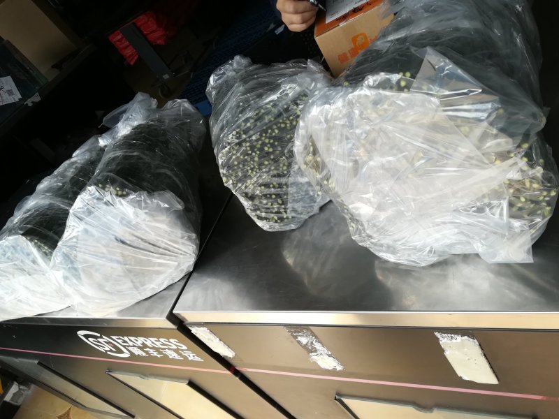 媛红碰柑枝条媛红椪柑枝条