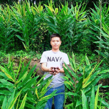 洋荷