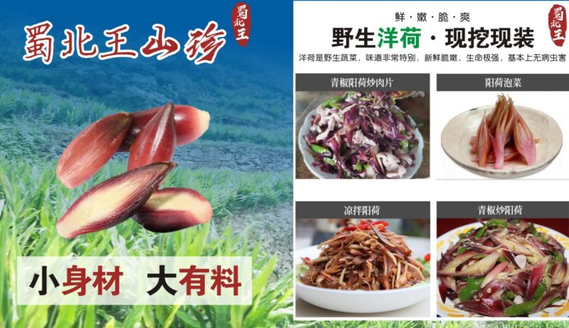 洋荷