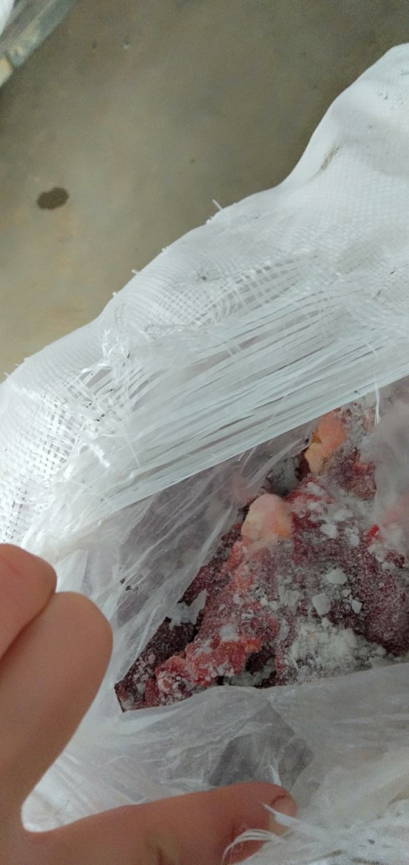 蒙古马肉五分体到货，颜色好看，来自大草原马肉，精修去油