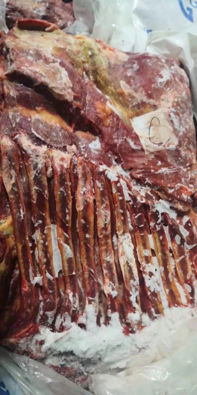 蒙古马肉五分体到货，颜色好看，来自大草原马肉，精修去油