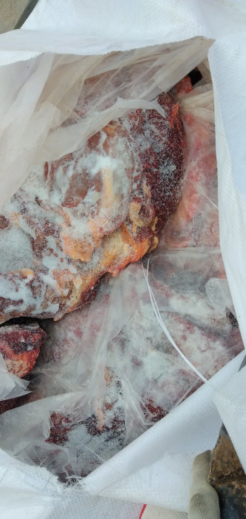 蒙古马肉五分体到货，颜色好看，来自大草原马肉，精修去油