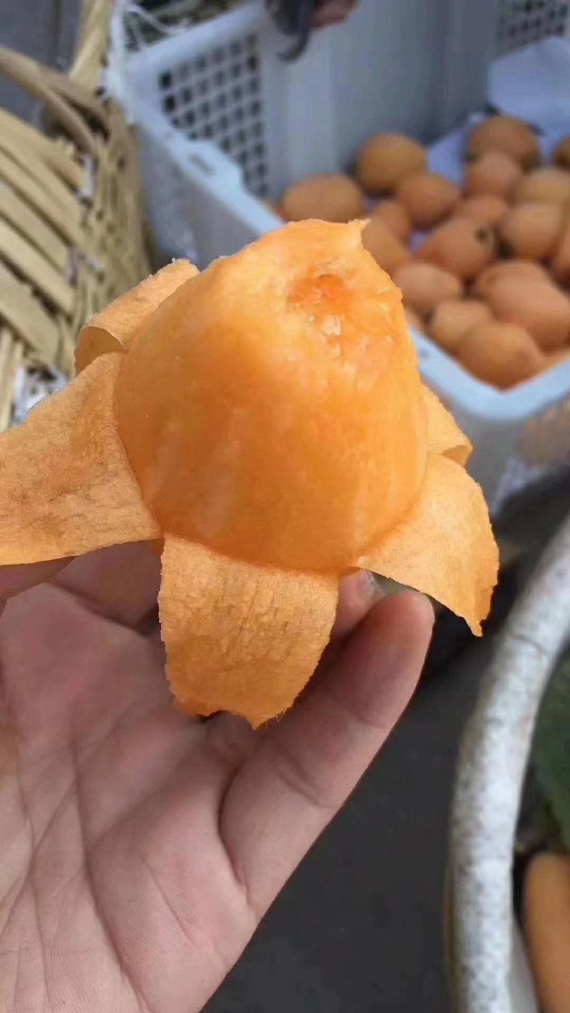 阳光果业