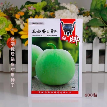 青皮甜瓜种子玉奶香香瓜种子特香甜绿肉高产大果大棚露地栽培