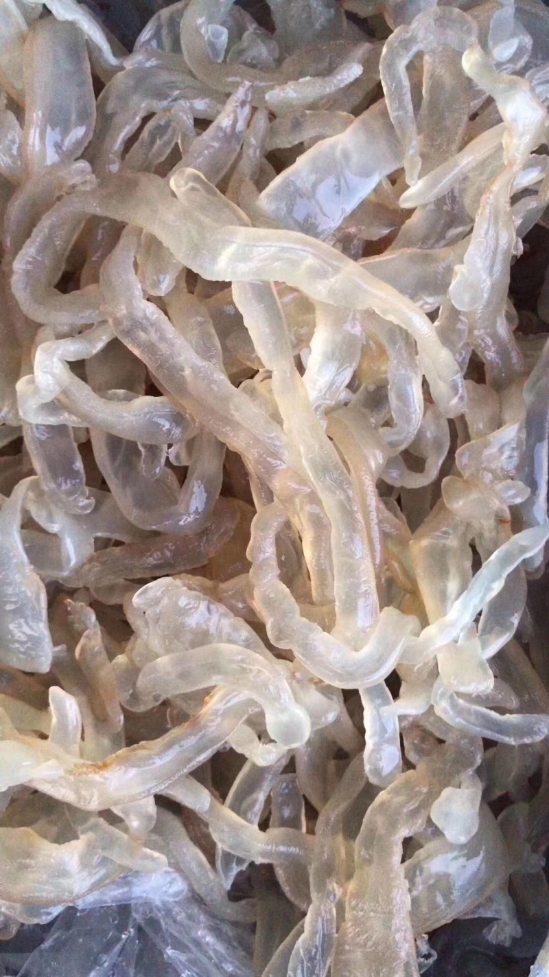海蜇海蜇丝无沙海蜇丝清脆爽口海蜇丝