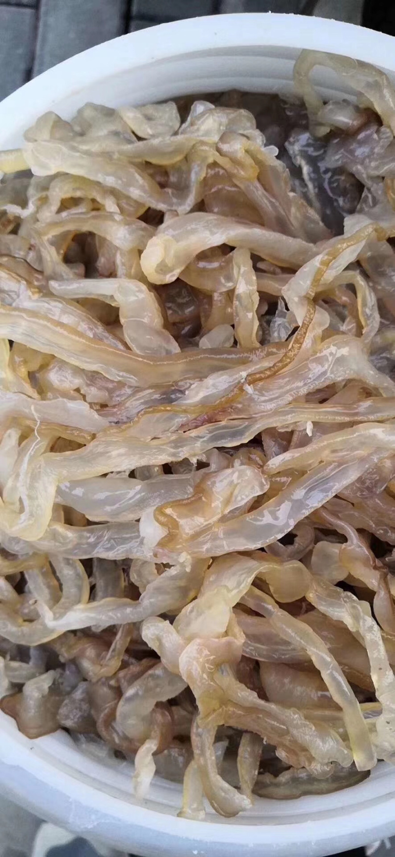 海蜇海蜇丝无沙海蜇丝清脆爽口海蜇丝