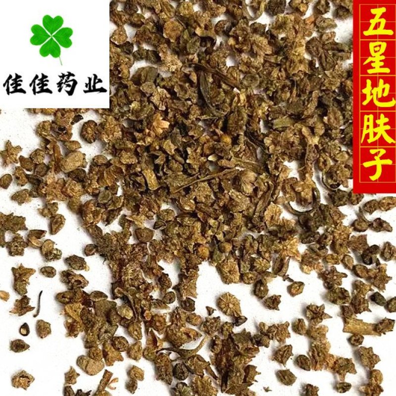地肤子正品五星地肤子干净无杂佳佳药业