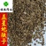 地肤子正品五星地肤子干净无杂佳佳药业