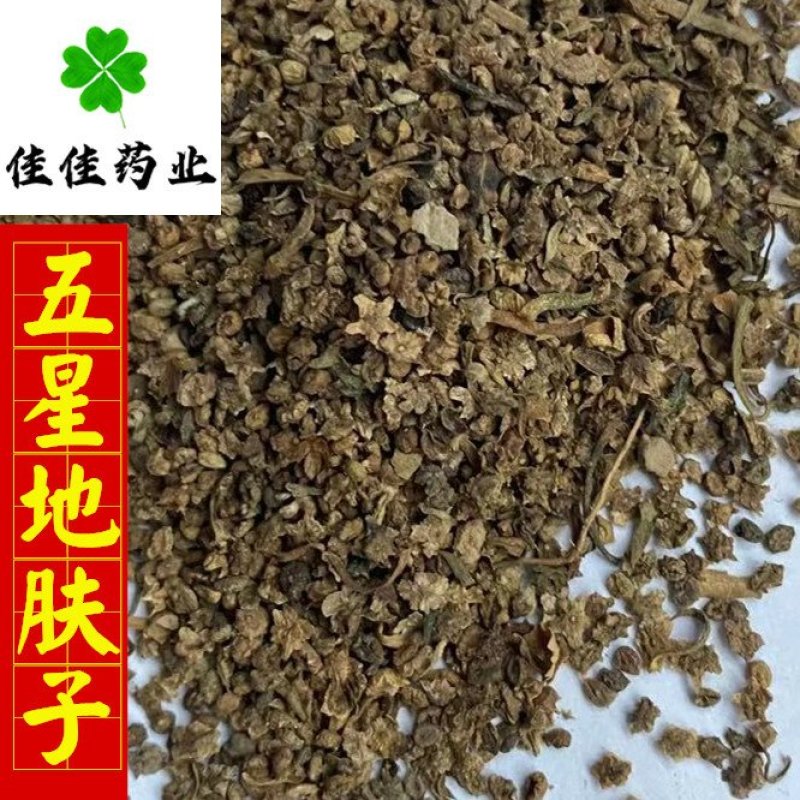 地肤子正品五星地肤子干净无杂佳佳药业