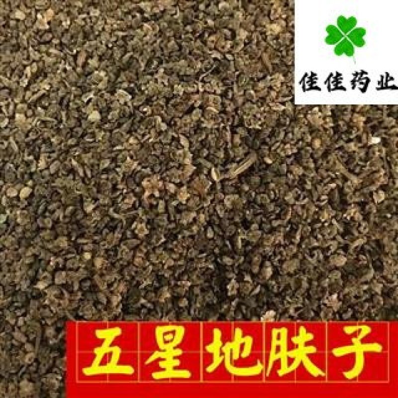 地肤子正品五星地肤子干净无杂佳佳药业