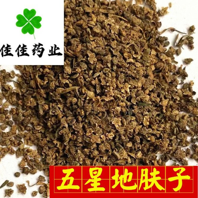 地肤子正品五星地肤子干净无杂佳佳药业