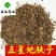 地肤子正品五星地肤子干净无杂佳佳药业