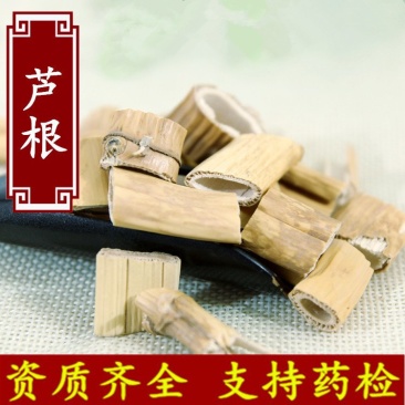 芦根芦苇根产地直销量大从优