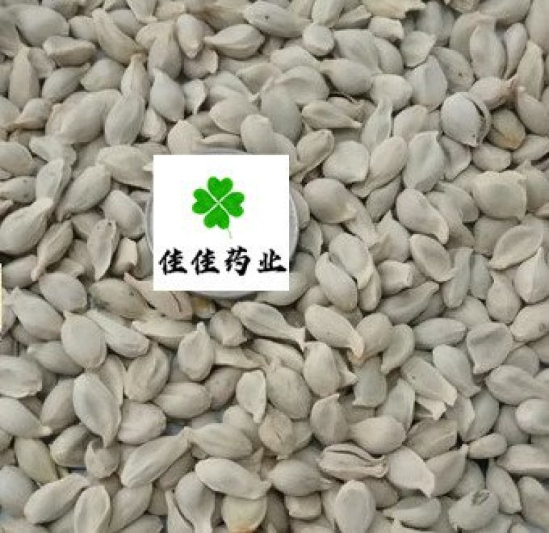 橘核桔核干净无杂质货干无硫量大从优