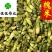 槐米农户采收供应各种中药材