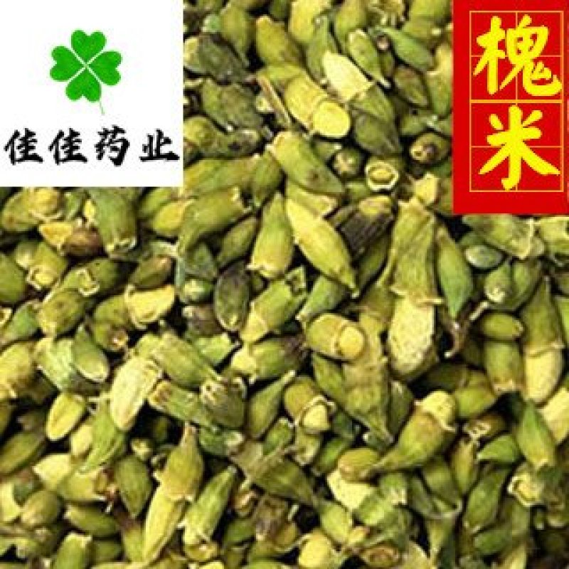 槐米农户采收供应各种中药材