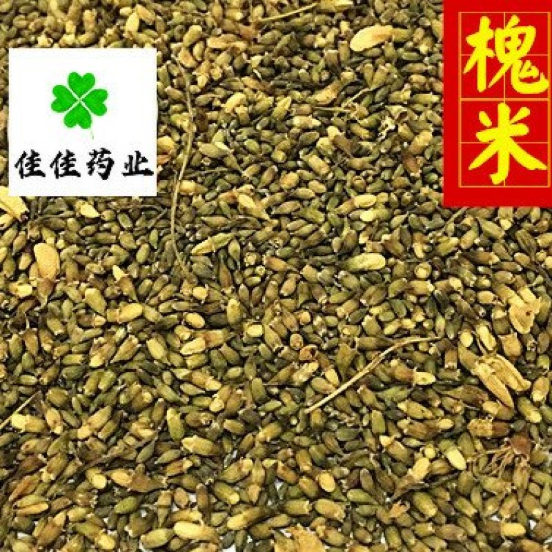 槐米农户采收供应各种中药材