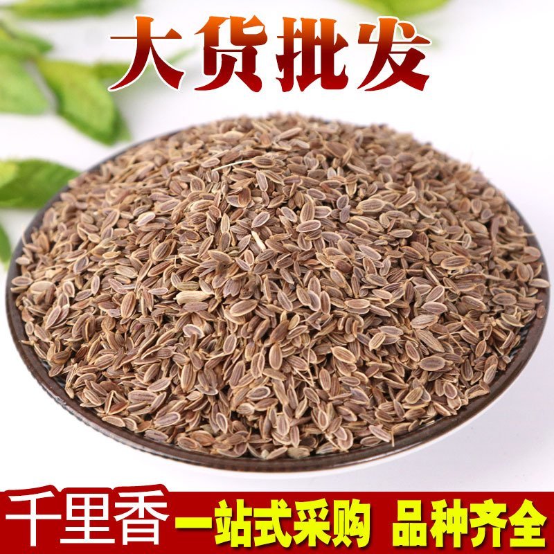 千里香产地直销量大从优