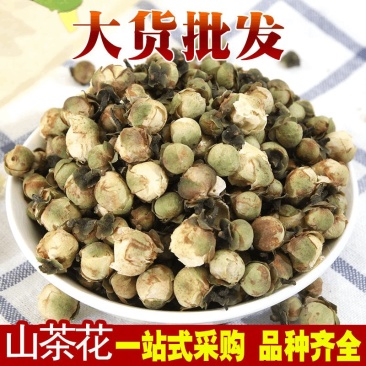 山茶花产地直销量大从优