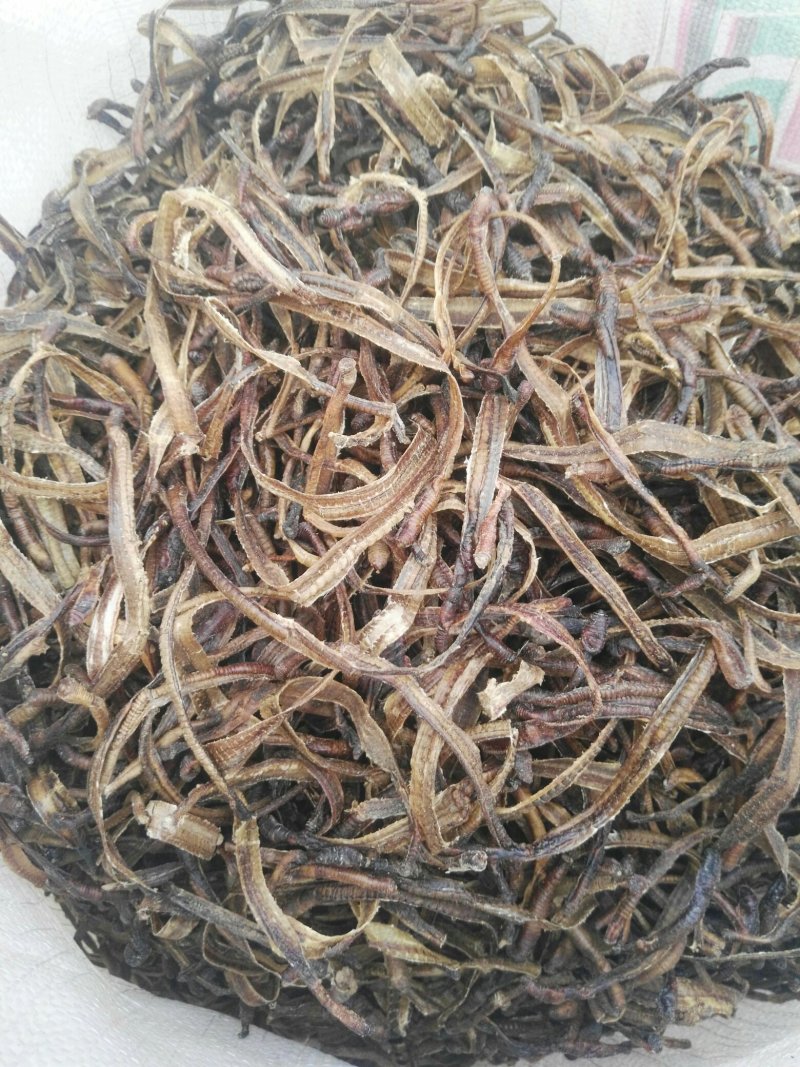 地龙