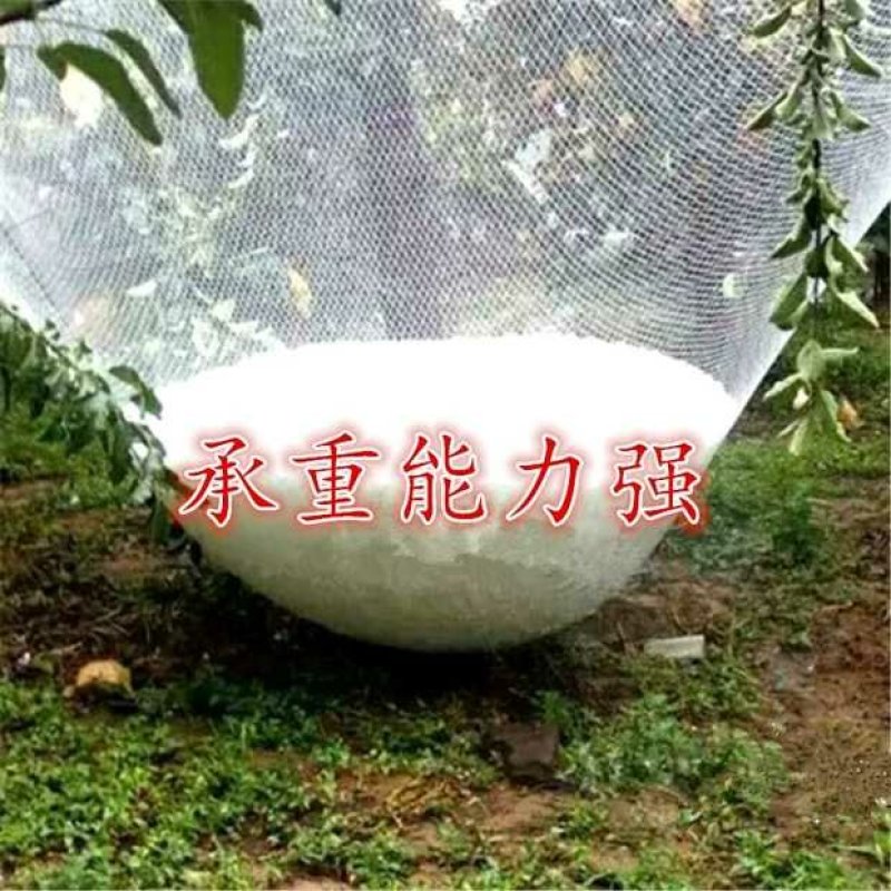 果园防雹网葡萄防雹网防冰雹网防雹子网防雹防鸟网