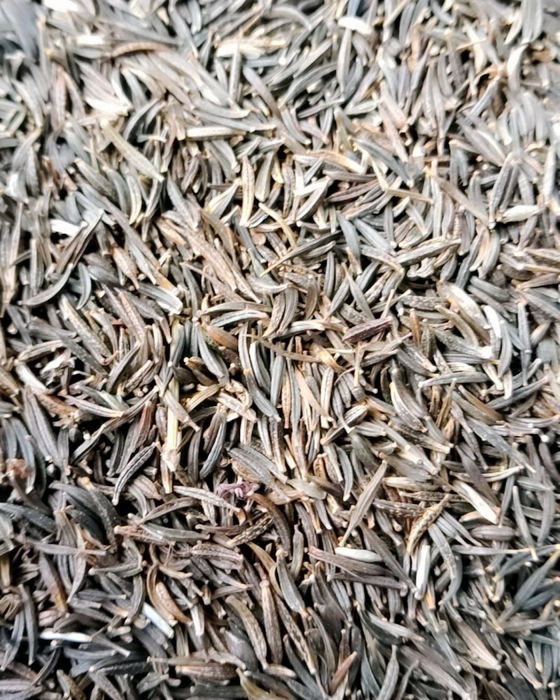 花草种子花卉种子波斯菊种子
