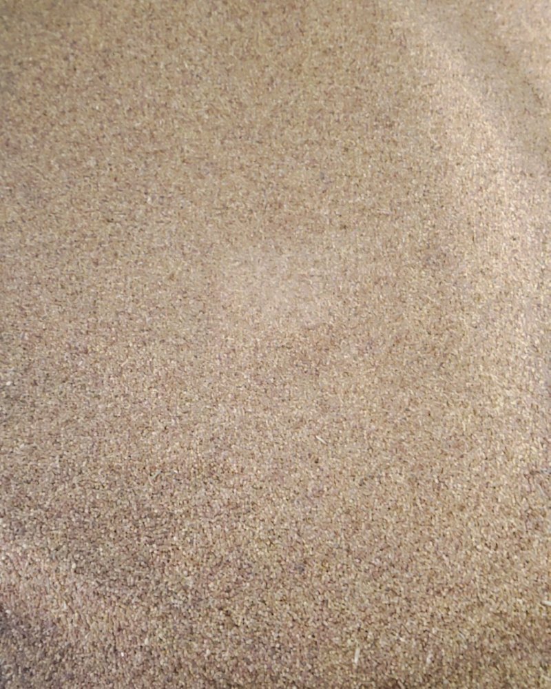 白三叶净籽种子，净籽的，看清楚