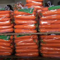 胡萝卜规格齐全品质保证产地直发可视频欢迎咨询