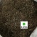 龙胆草好统货实物图过筛货供应各种中药材