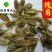 槐角好统货新货供应各种中药材冷背货矿石等