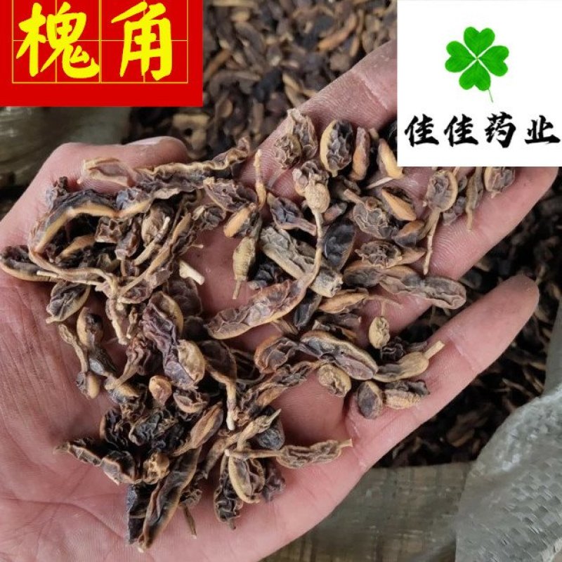 槐角好统货新货供应各种中药材冷背货矿石等