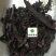 紫草新疆软紫草硬紫草供应各种中药材