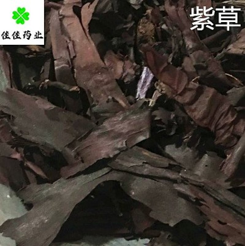 紫草新疆软紫草硬紫草供应各种中药材