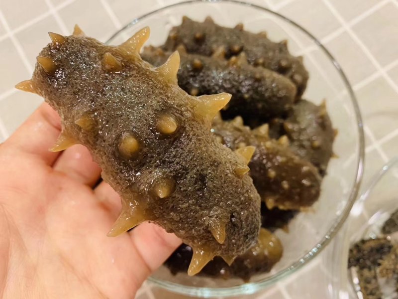 大连特级特纯淡干辽参200头规格泡发15倍