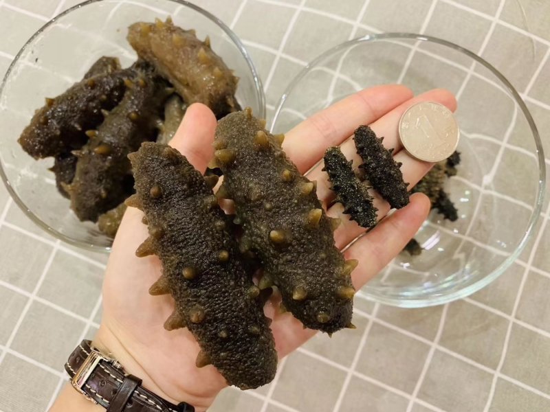 大连特级特纯淡干辽参200头规格泡发15倍